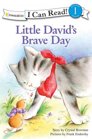 Cover of the book Little David's Brave Day by Zondervan