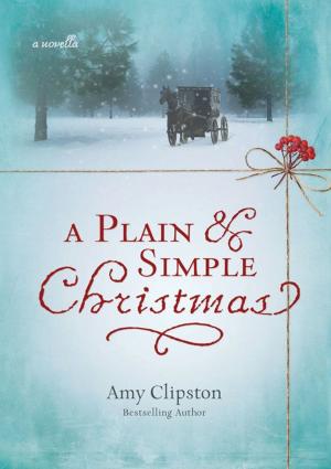 Cover of the book A Plain and Simple Christmas by David and Claudia Arp