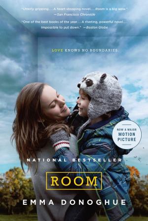 Cover of the book Room by Brian Van Reet