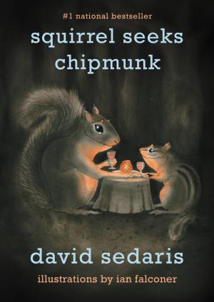 Book cover of Squirrel Seeks Chipmunk