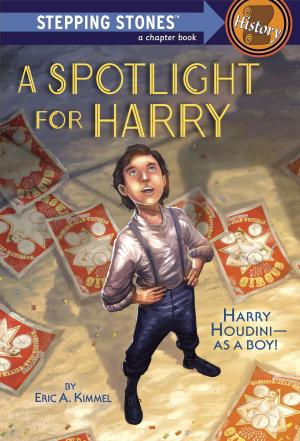Cover of the book A Spotlight for Harry by Arie Kaplan