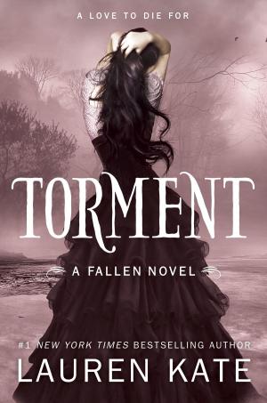 Cover of the book Torment by Jennifer Anne Davis