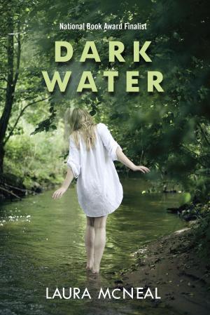 Cover of the book Dark Water by Jarrett J. Krosoczka
