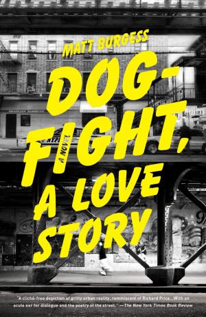 Cover of the book Dogfight, A Love Story by John Hersey