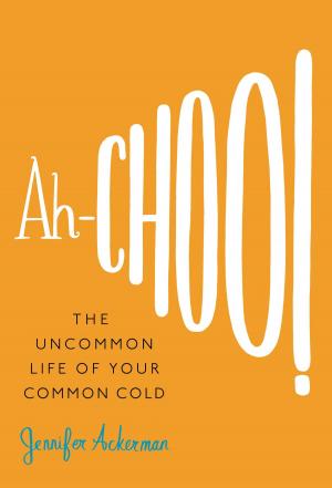 Cover of the book Ah-Choo! by Rebecca Zanetti
