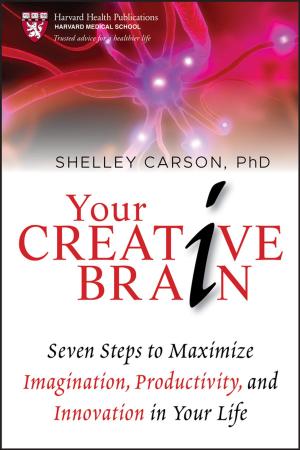 Cover of the book Your Creative Brain by Rubin H. Landau, Cristian C. Bordeianu, Manuel J Páez