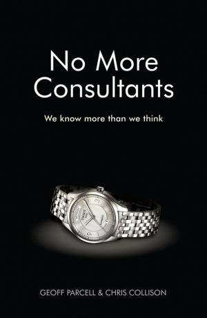 Cover of the book No More Consultants by R. Russell Rhinehart