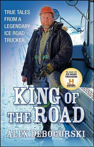 Cover of the book King of the Road by Danny Seraphine