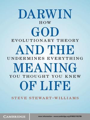 Cover of the book Darwin, God and the Meaning of Life by Robert M. Milardo, PhD