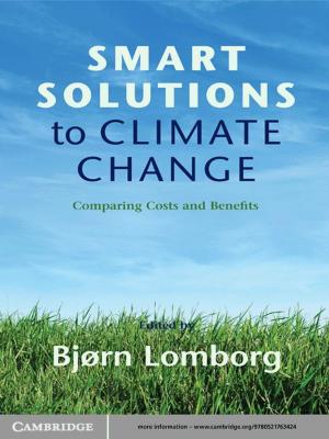 Cover of the book Smart Solutions to Climate Change by Elizabeth de Freitas, Nathalie Sinclair