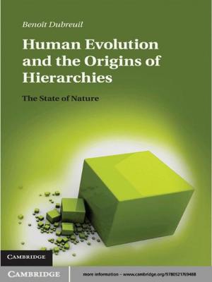 Cover of the book Human Evolution and the Origins of Hierarchies by J. H. van Lint, R. M. Wilson