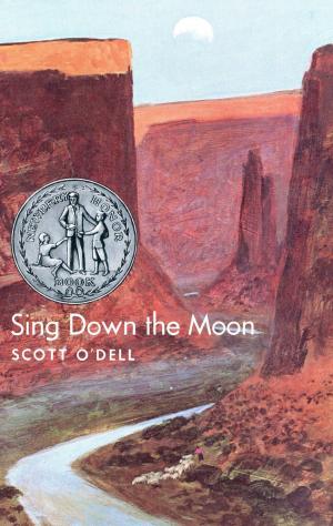 Cover of the book Sing Down the Moon by Jane Shore