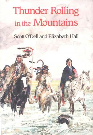 Cover of the book Thunder Rolling in the Mountains by Robert Stone