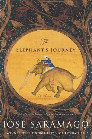 bigCover of the book The Elephant's Journey by 