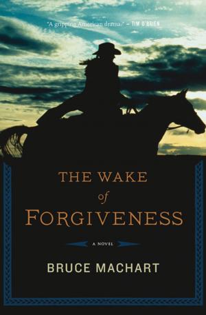 Cover of the book The Wake of Forgiveness by Pete Dunne