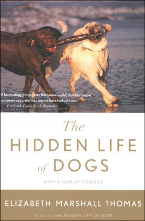 Cover of the book The Hidden Life of Dogs by Erin McGraw