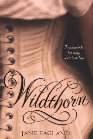 Cover of the book Wildthorn by Joanne Chang