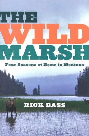 Book cover of The Wild Marsh