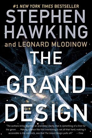 Cover of the book The Grand Design by Janet Lanese