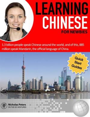 Cover of the book Learning Chinese For Newbies by Cecilie Gamst Berg