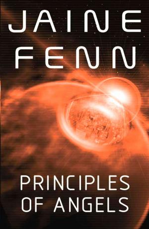 Book cover of Principles of Angels
