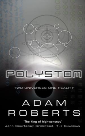 Cover of the book Polystom by Britta Rostlund
