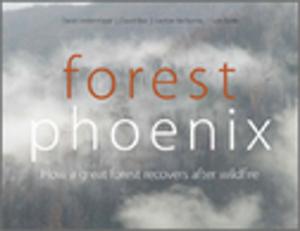 Cover of the book Forest Phoenix by David Rees