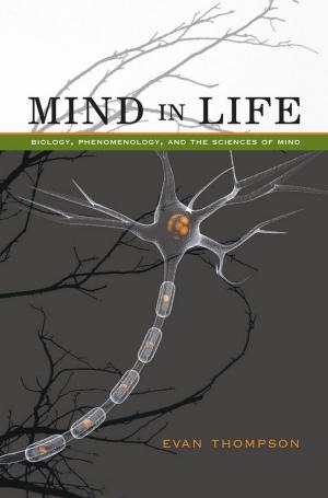 Cover of the book Mind in Life by Matthew Pierce