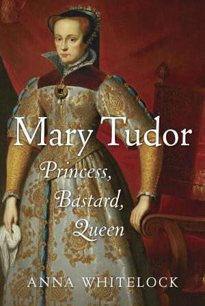 Cover of the book Mary Tudor by Bill Halkett