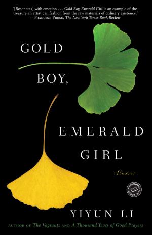 Book cover of Gold Boy, Emerald Girl