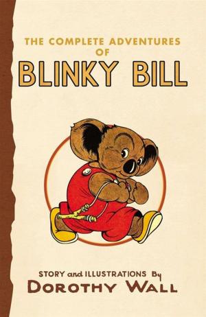 Book cover of Blinky Bill