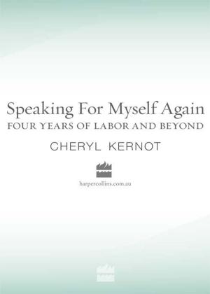 Cover of the book Speaking for Myself Again Four Years of Labour and Beyond by Lola M. Schaefer
