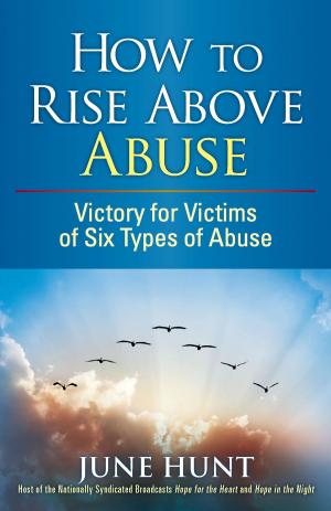 Book cover of How to Rise Above Abuse