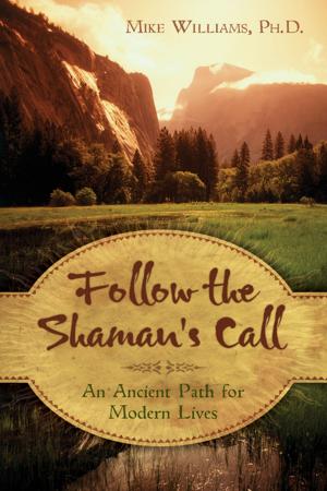 Cover of the book Follow the Shaman's Call: An Ancient Path for Modern Lives by Patrick Mathews