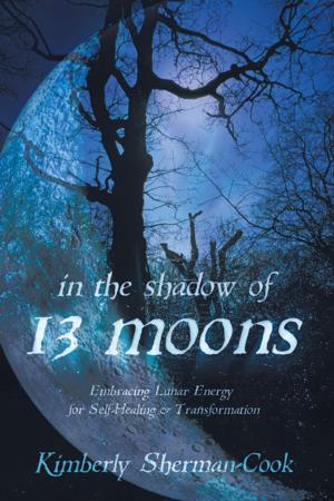Cover of the book In the Shadow of 13 Moons by Ellen Dugan