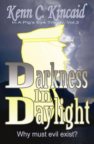 Cover of the book Darkness In Daylight by Patty LaVerne Carrington, 