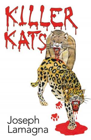 bigCover of the book Killer Kats by 