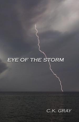 Cover of the book Eye of the Storm by Jerry Hanks