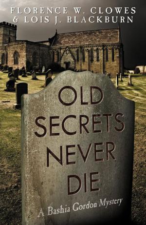 Cover of the book Old Secrets Never Die by Betsy Schenck