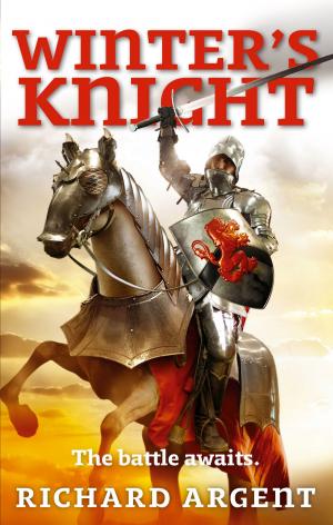 Cover of the book Winter's Knight by J.P. McEvoy