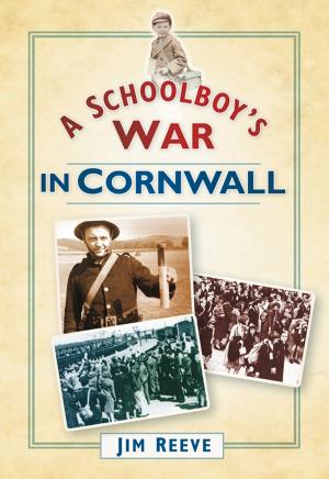 Cover of the book Schoolboy's War in Cornwall by D M Potts