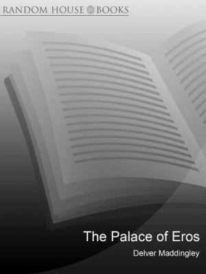 Cover of the book The Palace of Eros by Sophie Fletcher