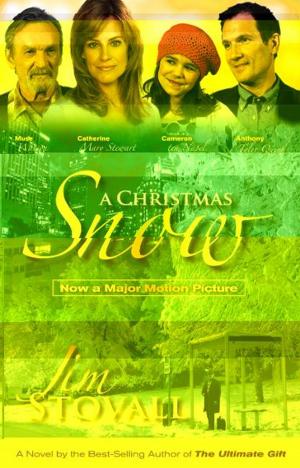 Cover of the book A Christmas Snow by Becky Dvorak