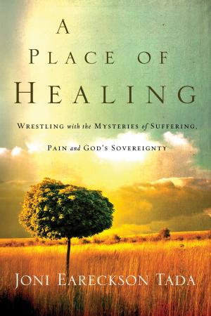 Cover of the book A Place of Healing: Wrestling with the Mysteries of Suffering, Pain, and God's Sovereignty by Kyle Idleman