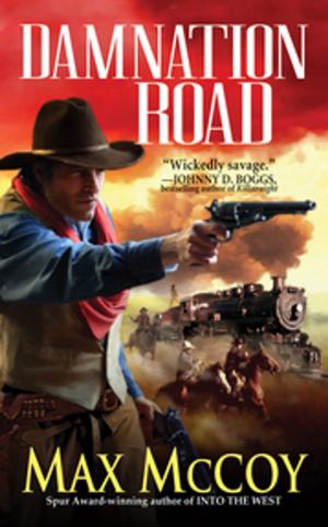 Cover of the book Damnation Road by Sophie Bérubé