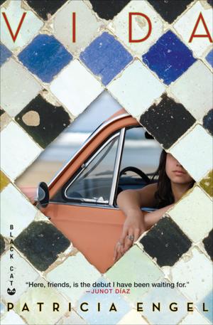 Cover of the book Vida by Christine Schutt