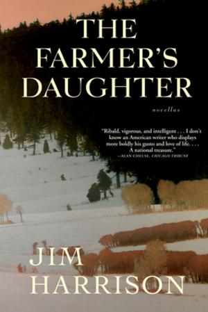 Cover of the book The Farmer's Daughter by Julia Franck