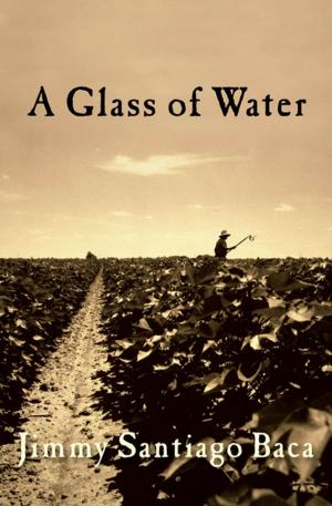 Cover of the book A Glass of Water by Rabih Alameddine