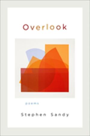 Cover of the book Overlook by Wayne Parent