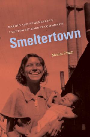 Cover of the book Smeltertown by Stephen P. Waring